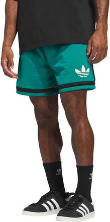 adidas Originals Warp Knit Mesh Basketball Shorts in Equipment Green/Black at Nordstrom, Size Xx-Large