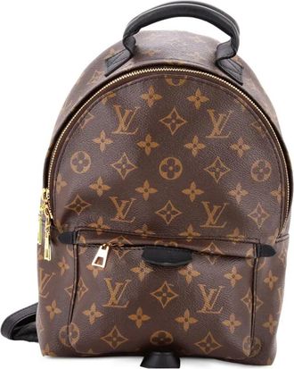 Louis Vuitton Palm Springs Monogram Canvas PM backpack - Bruin