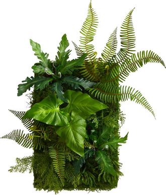 Nearly Natural 24-in x 16-in Mixed Foliage Artificial Living Wall in Green at Nordstrom