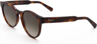 Ferragamo SF1068S 240 Tortoise/Brown Gradient
