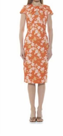 Alexia Admor Janine Dress In Orange Floral