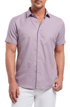 Robert Graham Odyssey Short Sleeve Woven Button-Up Shirt in Lilac at Nordstrom Rack, Size X-Large