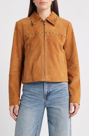 Bernardo Stud Detail Suede Jacket in Cognac at Nordstrom Rack, Size Xx-Large