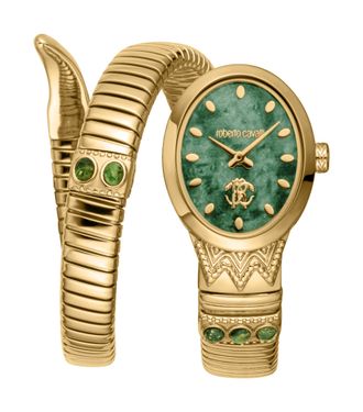 Roberto Cavalli Womens Snake Women Stainless Steel Gold watch - One Size