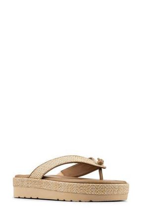 Donald J Pliner Thong Sandal in Tobacco at Nordstrom Rack, Size 8.5