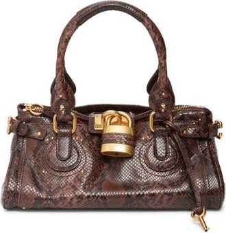 Chlo&eacute; Paddington Python Print Shoulder Bag in Kohl Brown at Nordstrom