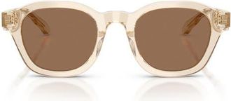 Tory Burch 48mm Phantos Sunglasses in Transparent Beige /Brown at Nordstrom
