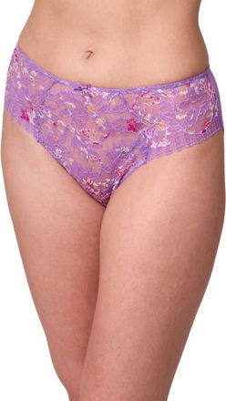 Montelle Intimates Lace & Microfiber Briefs in Tulip/Tulip Field at Nordstrom, Size Xx-Large