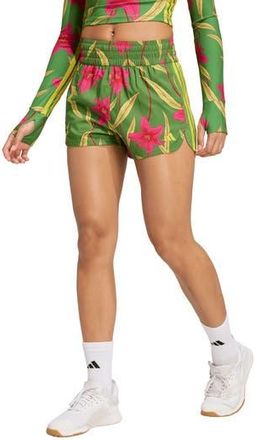 adidas x FARM Rio Pacer Shorts in Crew Green/Magenta/Lime at Nordstrom Rack, Size X-Small