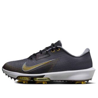 Nike Air Zoom Infinify Tour 2 Cool Grey Infinite Gold FD0218-003