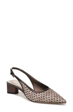 Franco Sarto Amelie Slingback Pointed Toe Pump in Brown at Nordstrom, Size 5.5