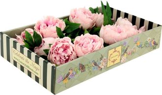 Mark Roberts Ruffled Peony Natural Touch, Box of 6 in Light Pink at Nordstrom