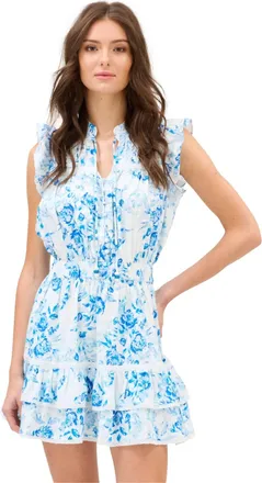 Allison Asher Short Dress In Blue And White Floral