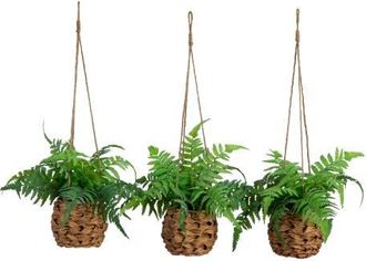 Nearly Natural 10-in UV Resistant Artificial Boston Fern in Hanging Wicker Basket (Indoor/Outdoor) - Set of 3 in Green at Nordstrom