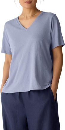 Eileen Fisher Easy V-Neck Organic Cotton T-Shirt in Haze at Nordstrom, Size Xx-Small