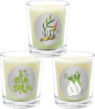 Qualitas 3Pc Candle Set - Fennel, Coriander, & Ginger Grass