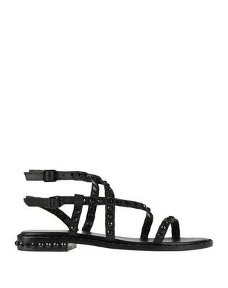 Sandale ash noir clearance