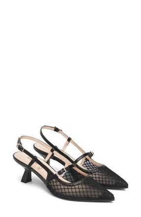 Nero Giardini Mesh Pointed Toe Slingback Pump in Black at Nordstrom, Size 10Us