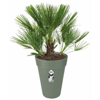 ELHO Loft Urban Maceta Verde 23 Litros