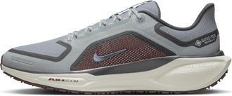 Nike Mens Pegasus 41 GORE-TEX Waterproof Road Running Shoes in Grey | FQ1356-003