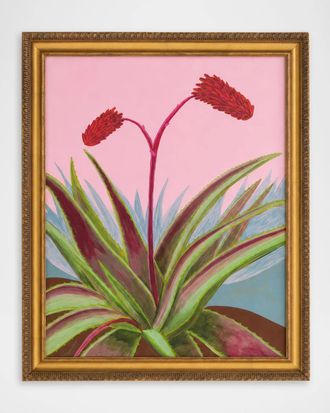 John-Richard Candelabra Aloe Framed Giclee by Michael Pfleghaar