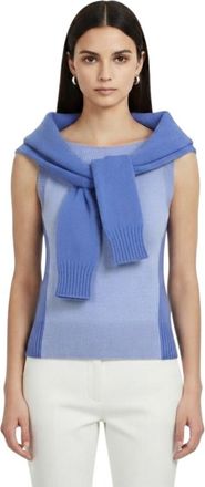 Alexander McQueen Blue Solid Boat Neck Sweater
