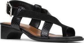 Donald J Pliner Charita Toe Loop Sandal in Black at Nordstrom Rack, Size 9.5