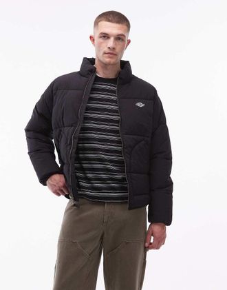 Dickies Summerdale - Piumino nero