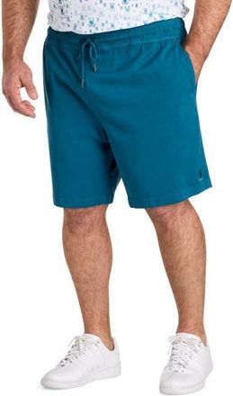 Psycho Bunny Big & Tall Willis Stretch Shorts in Mallard Blue at Nordstrom, Size 2X Big