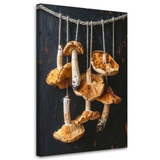 Feeby Cuadro En Lienzo, Setas Secas Naturaleza, 80x120