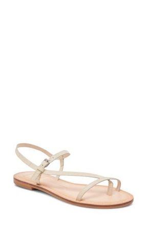 Dolce Vita Wandre Flat Sandal in Bone at Nordstrom Rack, Size 10.5