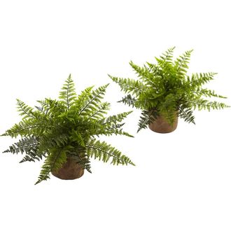 Nearly Natural 15-in Ruffle Fern Bush with Burlap Base in Green at Nordstrom