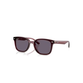 Ray-Ban Sunglasses, unisex, Brown, 64 MM, Rb4461D 659373 Sunglasses