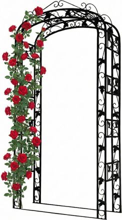 Relaxdays Relaxdays Arco Met&aacute;lico Para Rosales, Jard&iacute;n, 240 X 120 X 45 Cm, Robusto Para Trepadoras, Negro
