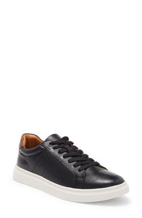 Steve Madden チャンキー プラットフォーム Ccora スニーカー Steve Madden チャンキー プラットフォーム Ccora スニーカー