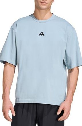 adidas Oversize T-Shirt in Wonder Sage at Nordstrom Rack, Size Xx-Large