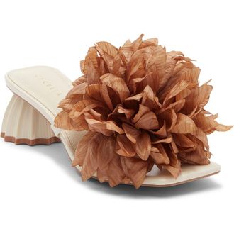 Cecelia New York Dahlia Slide Sandal in Taupe/Bone at Nordstrom, Size 6.5