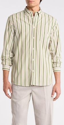 Les Deux Kent Stripe Peached Organic Cotton Poplin Button-Down Shirt in Chive Green/Thai Curry at Nordstrom Rack, Size Xx-Large