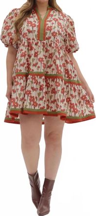 Entro Harlow Mini Dress - Plus In Rust And Olive