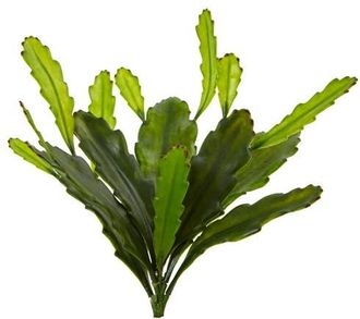 Nearly Natural 14-in Epiphyllum Cactus Artificial Plant in Green at Nordstrom