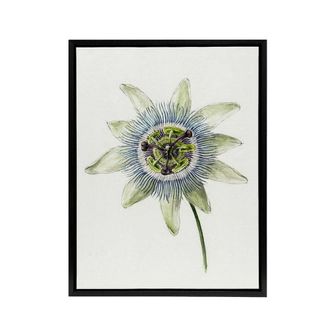 Artery8 Passion Flower Bloom Floral Drawing Bernard Black Framed Canvas Art in White | Size: W24 x H32
