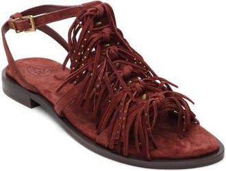 Ash Panic Fringe Sandal in Marsala at Nordstrom, Size 6Us