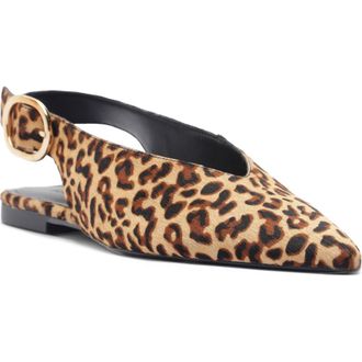 Arezzo Atlas Pointed Toe Slingback Flat in Leopard at Nordstrom, Size 6.5