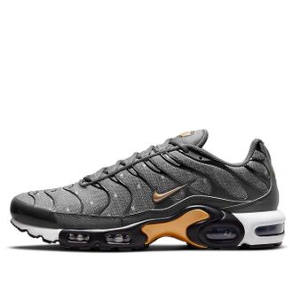 Nike Air Max Plus SE Iron Grey Metallic Gold DM7570-002