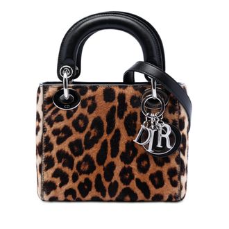 Dior Leopard Print Mini Pony Hair Lady Dior