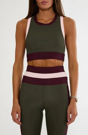 Beach Riot Gwen Ribbed Colorblock Sports Bra in Wild Berry Colorblock at Nordstrom, Size X-Large