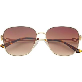 Freyrs Eyewear Lea Square Sunglasses in Gold /Brown at Nordstrom
