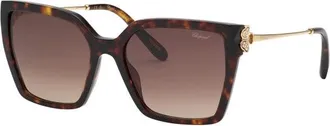 Chopard Womens 56 mm Havana Sunglasses