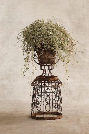 Terrain Aged Iron Wire Collared Plant Stand
