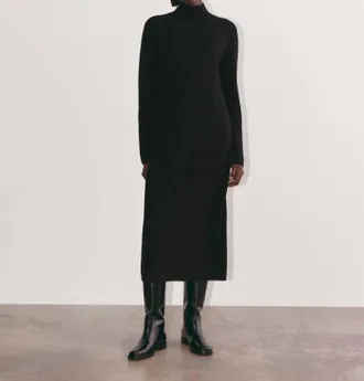 Everlane Turtle Neck Midi Dress In Black